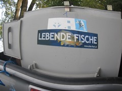 Fischer