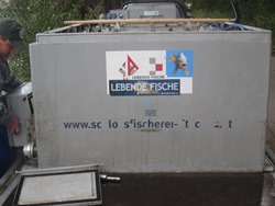 Container mit Fischen