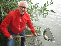 Obmann mit Kescher
