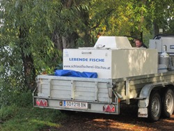 Schlossfischerei Litschau