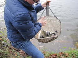 Dieter mit Zander