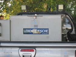 Container mit Fischen