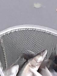 Zander im Kescher