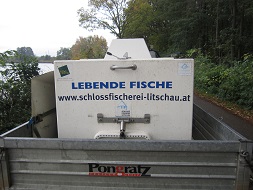 die nächste Lieferung