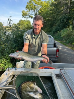 Franz mit dem letzten Zander