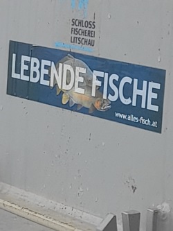Der Lieferant bereitet vor