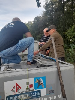 Der Fischcontainer