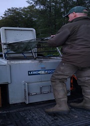 der letzte Container mit Raubfischen