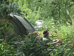 Dvorak und Dvorak