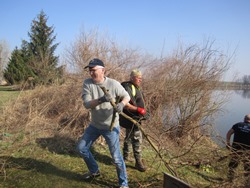Obmann Dieter