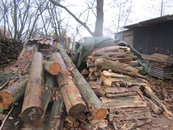 der volle Holzplatz
