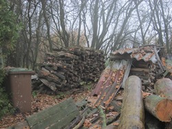 der Holzplatz