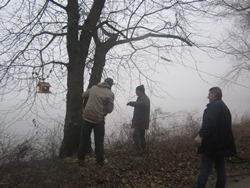 Ein kaputter Baum