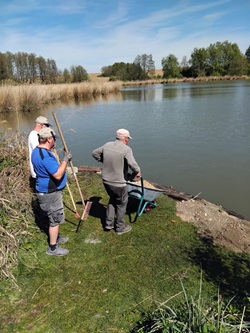 Helmut Hofko