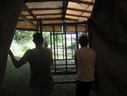 Fischer