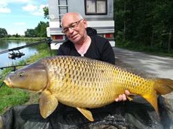 Karpfen mit 15 kg