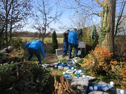 weiterte Zandernester