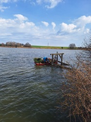 Laichnester im Wasser