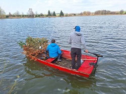 weitere Zandernester