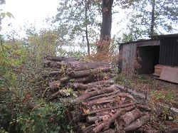 Der Holzstoß am Lagerplatz