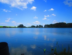Der Teich in Abendstimmung