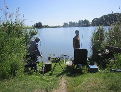 Mayer Florian und Partner