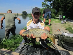 ein schöner Schuppenkarpf