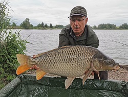 Helmut Hofko mit Karpfen