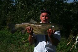 Ignaz Hrdlicka mit Amur