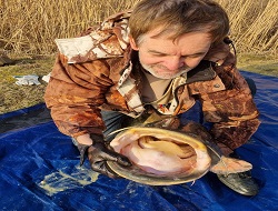 Martin Fidler mit großem Wels